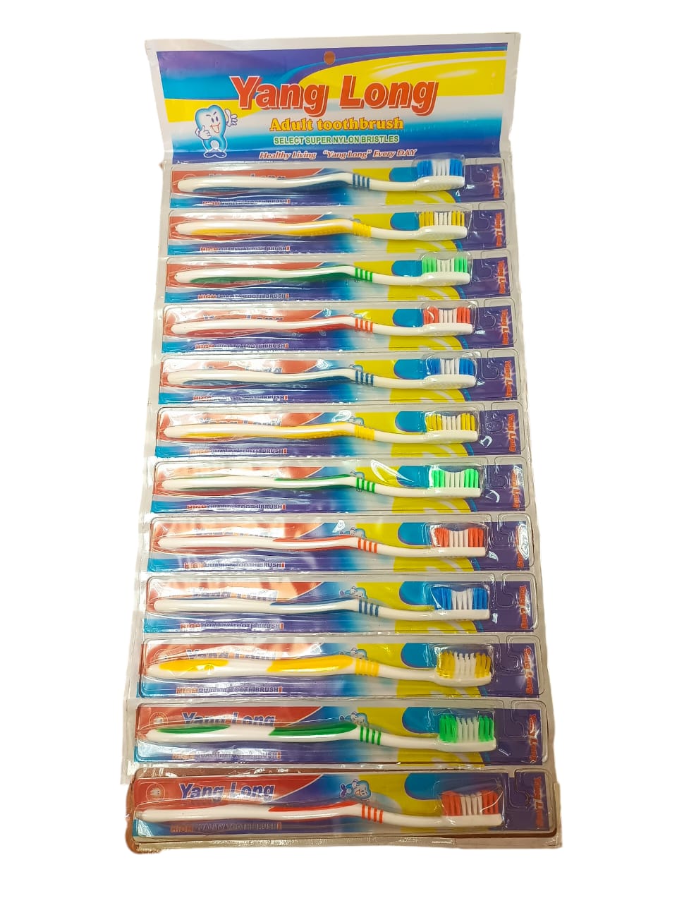 H.CEPILLO DENTAL YANGLONG 1x12 UND.