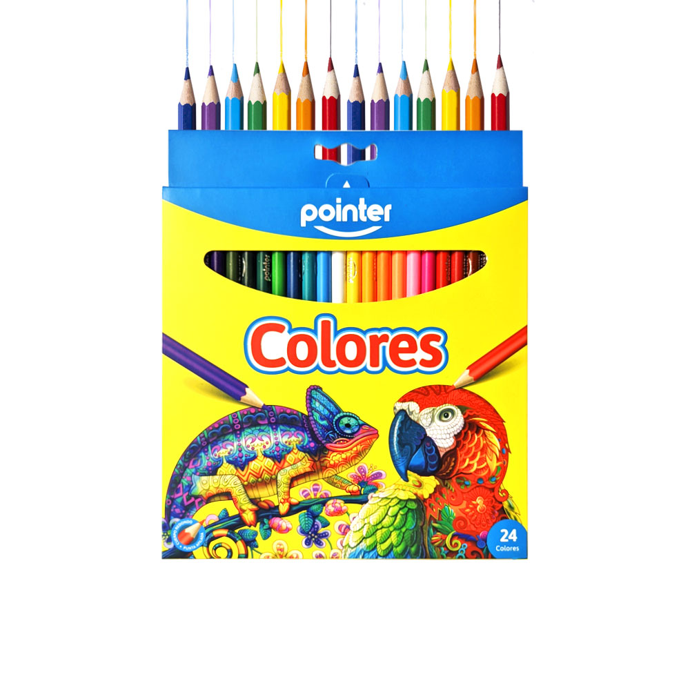 P/COLORES POINTER 1x24 UND.REF:RCP-24	
